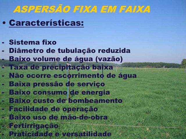 dracen_18_maio_2013 (86).JPG